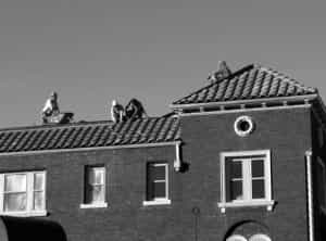 ROOF INSPECTIONS